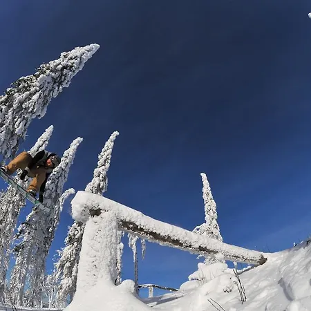 乌科哈拉滑雪小木屋公寓