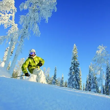 Ukkohalla Chalets
