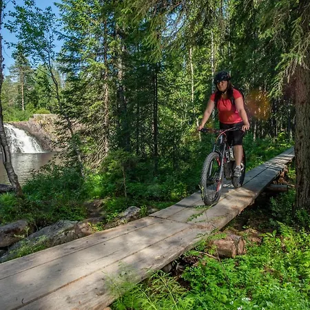 Ukkohalla Chalets Ukkohalla