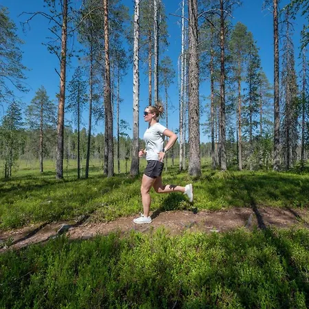 Hotel Ukkohalla Chalets 4*