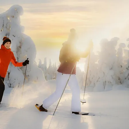 Ukkohalla Chalets Hotel 4*