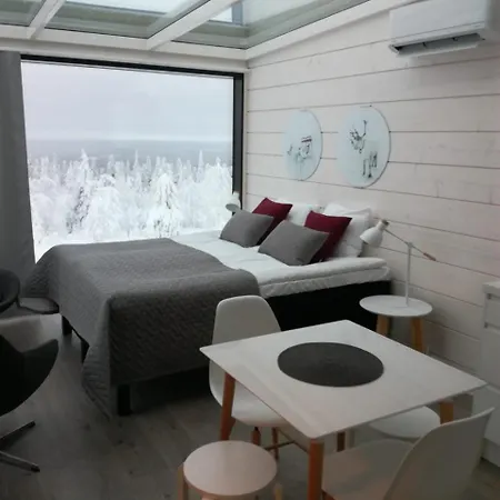 酒店 乌科哈拉滑雪小木屋公寓 Ukkohalla