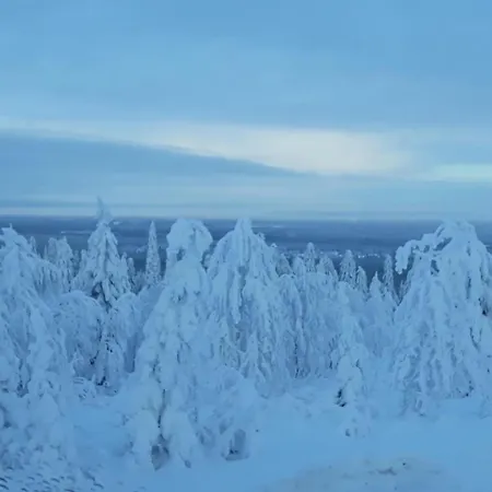 Ukkohalla Chalets Hotel